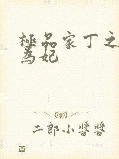 极品家丁之册母为妃