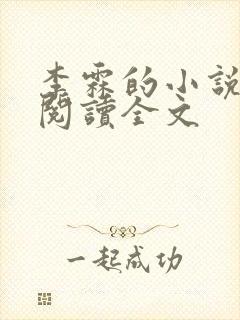 李霖的小说免费阅读全文