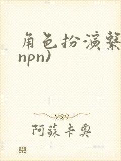 角色扮演系统(npn)封面