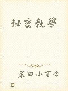 秘密教学