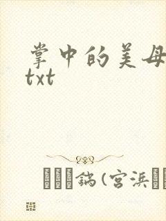 掌中的美母版主txt