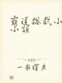 霸道总裁小娇妻小说