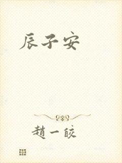 辰子安封面