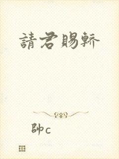 请君赐轿