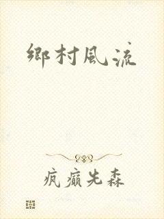 乡村风流封面