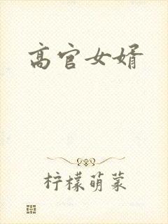 高官女婿