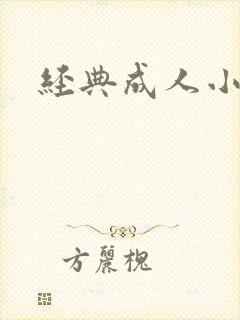 经典成人小说封面