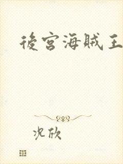 后宫海贼王