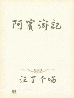 阿宾游记
