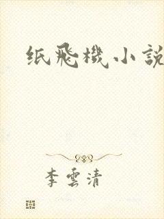 纸飞机小说