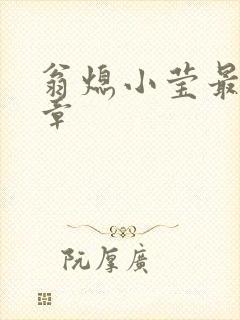 翁熄小莹最新节章