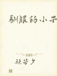 驯服的小子4
