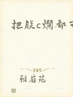 把朕c烂都可以