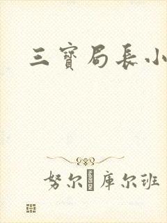 三宝局长小说