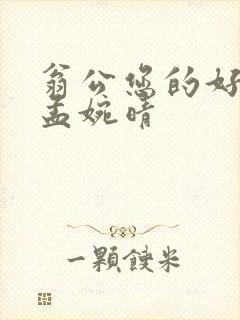 翁公您的好长呀孟婉晴封面