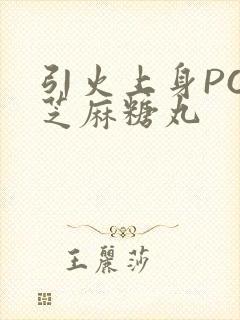 引火上身POP芝麻糖丸封面