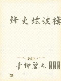 烽火烟波楼封面