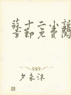 苏十二小说最新章节免费阅读全文封面