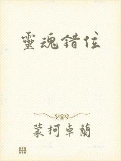 灵魂错位封面