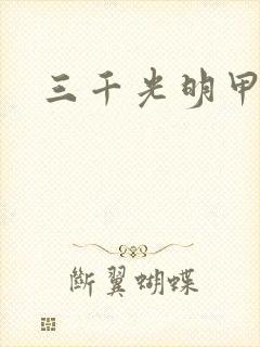 三千光明甲封面