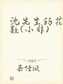 沈先生的花式调数(小非)