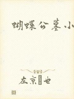 蝴蝶公墓小说