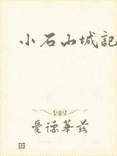 小石山城记封面