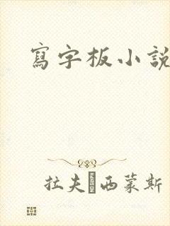 写字板小说封面