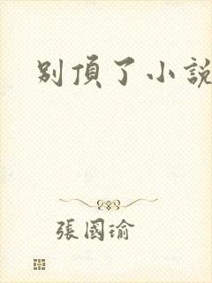 别顶了小说
