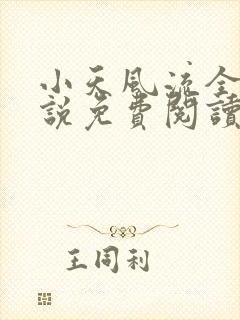 小天风流全集小说免费阅读