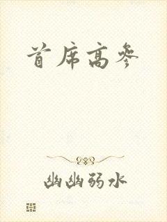 首席高参
