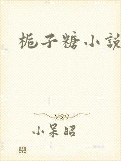 栀子糖小说