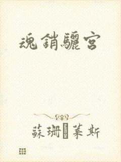 魂销骊宫封面