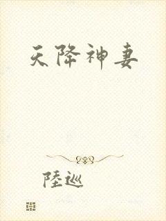 天降神妻封面
