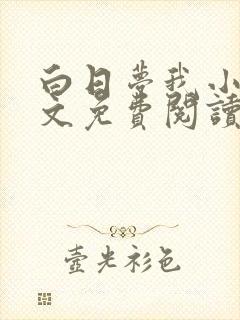 白日梦我小说全文免费阅读封面