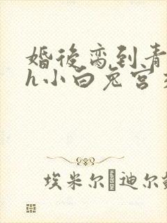 婚后脔到青梅哭h小白兔宫交h封面