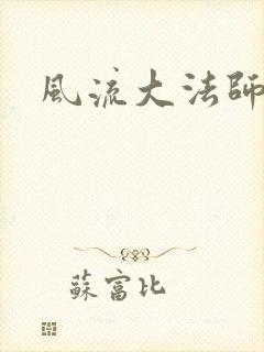 风流大法师封面
