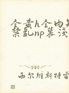 全黄h全肉短篇禁乱np慕浅浅