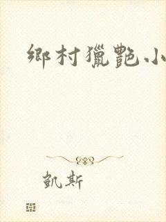 乡村猎艳小说