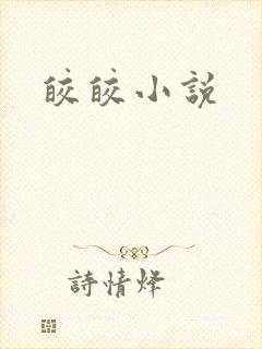 皎皎小说封面