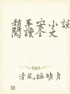 赵平安小说免费阅读全文