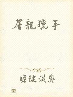 屠龙猎手封面