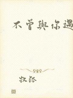 不曾与你遇见