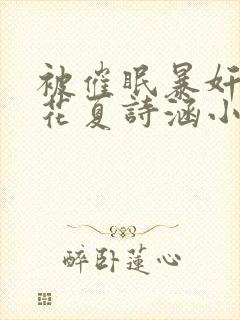 被催眠暴奸的校花夏诗涵小说封面