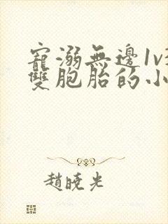 宠溺无边1v3双胞胎的小说