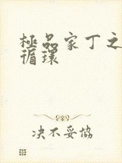 极品家丁之因果循环