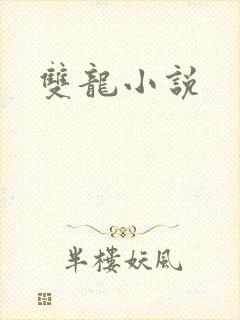 双龙小说