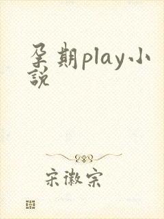 孕期play小说封面
