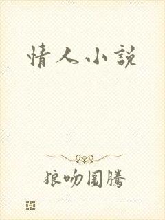 情人小说封面