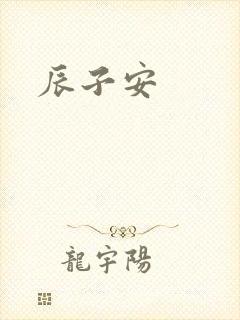 辰子安封面